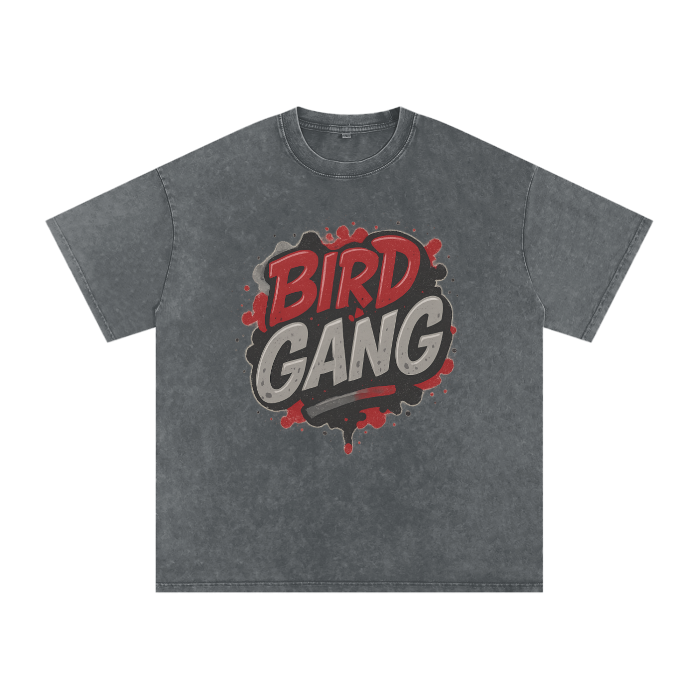 "Bird Gang" Arizona Inspired Oversized Vintage Tee