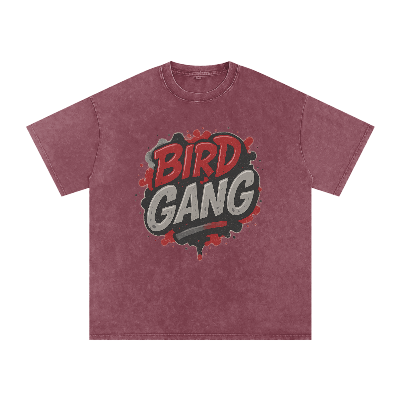 "Bird Gang" Arizona Inspired Oversized Vintage Tee